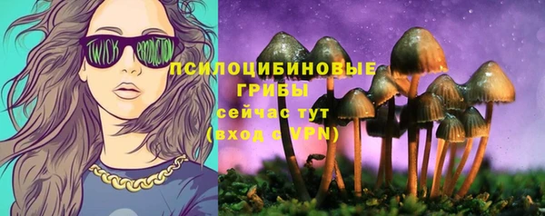 ALPHA-PVP Арсеньев