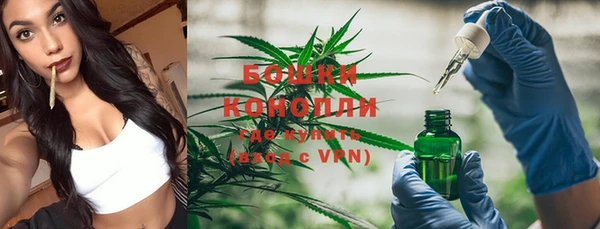 амф Сосновый Бор